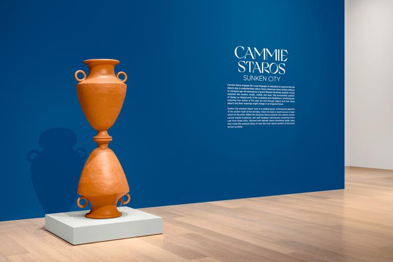 installation view of Cammie Staros exhibition