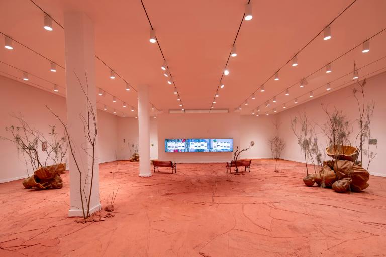 installation views of Ivan Argote exhibition