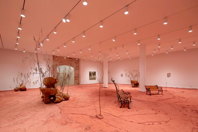 installation views of Ivan Argote exhibition