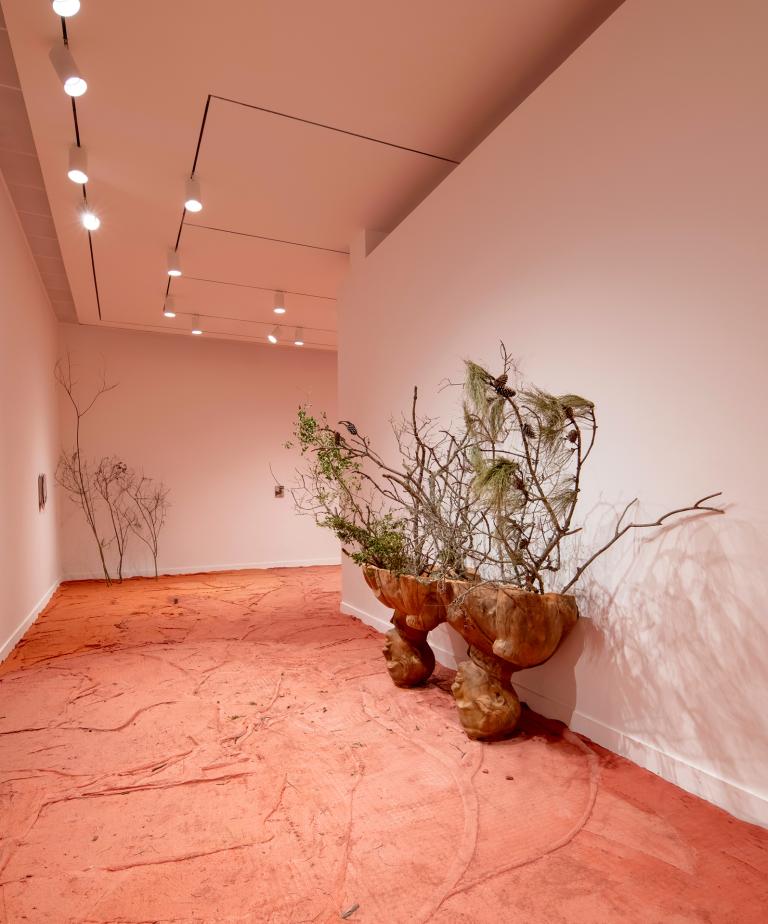 installation views of Ivan Argote exhibition