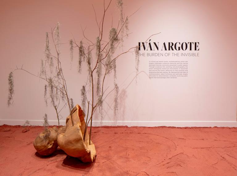 installation views of Ivan Argote exhibition
