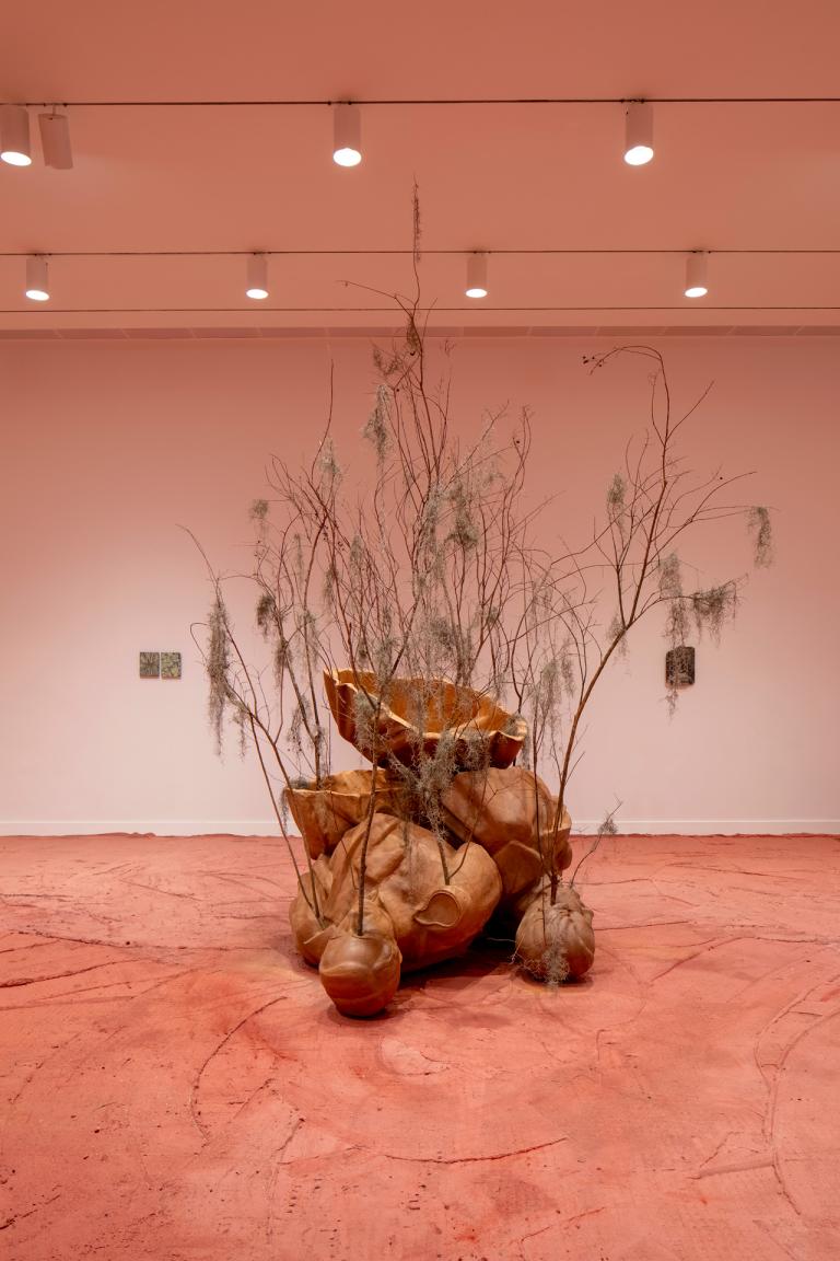 installation views of Ivan Argote exhibition