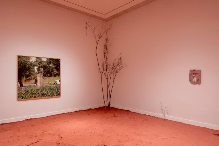 installation views of Ivan Argote exhibition