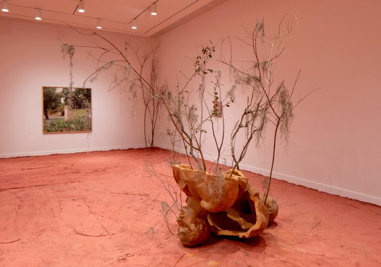 installation views of Ivan Argote exhibition