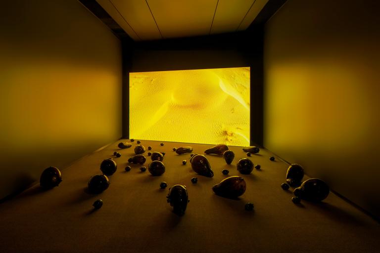 installation view of Monira Al Qadiri exhibition