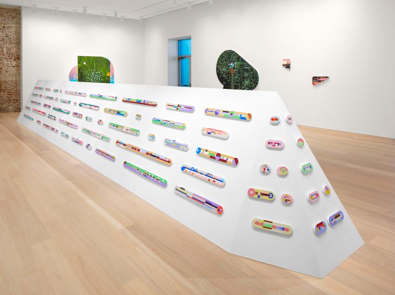 installation view of Thukral and Tagra exhibition