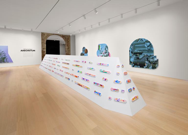 installation view of Thukral and Tagra exhibition