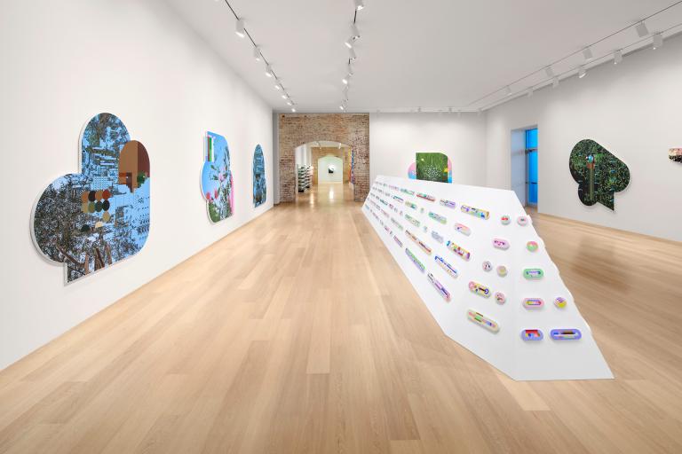 installation view of Thukral and Tagra exhibition