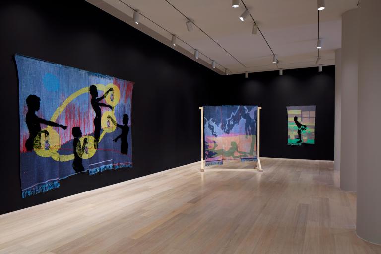 install views of diedrick brackens exhibition