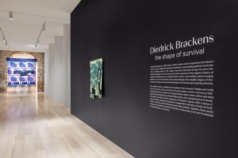 install views of diedrick brackens exhibition