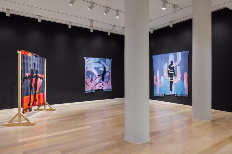  install views of diedrick brackens exhibition