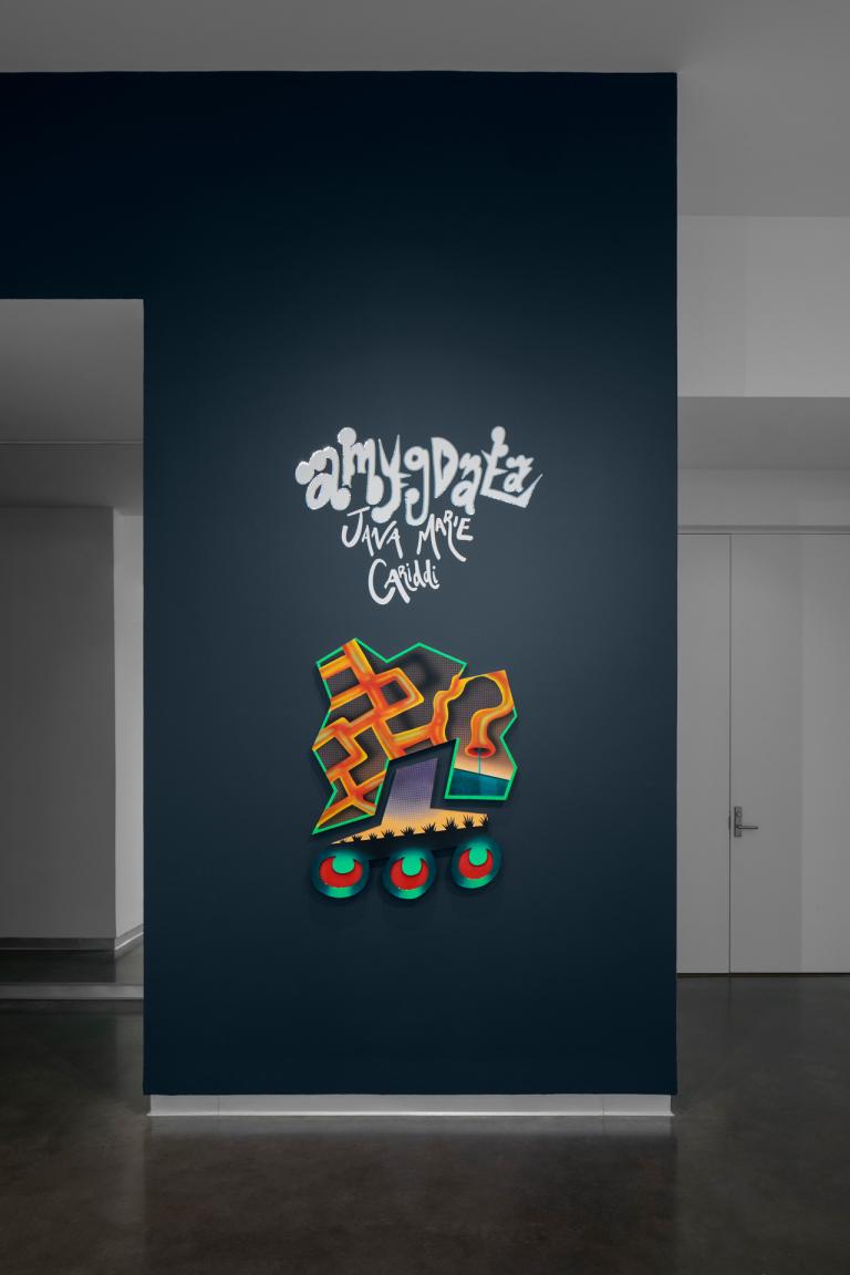 installation view of Jana Cariddi exhibition