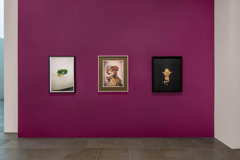 installation view of Personified exhibition