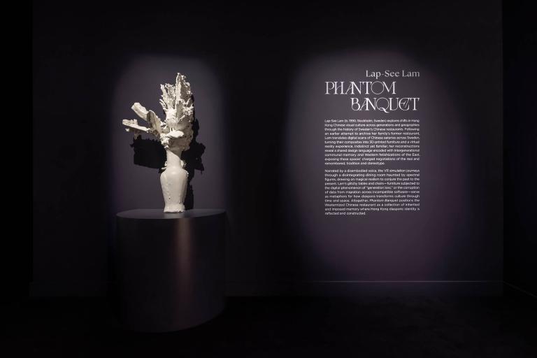 installation view of Lap See Lam exhibition