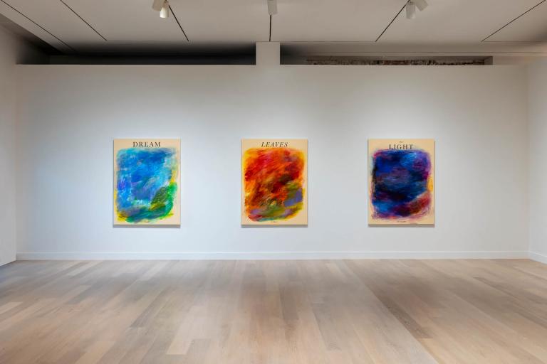 installation view of andrew kuo exhibition