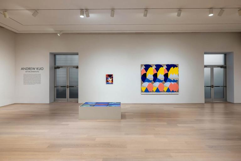 installation view of andrew kuo exhibition